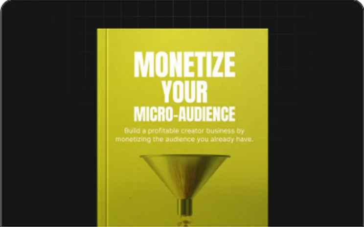 Monetize Your Micro-Audience digital guide cover